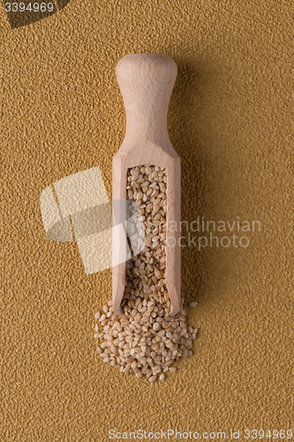 Image of Wooden scoop with sesame seeds