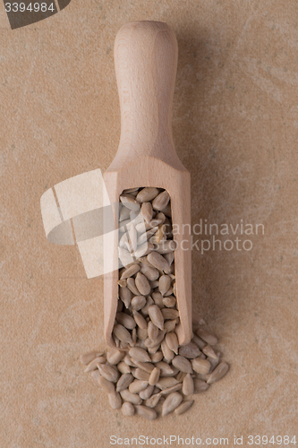 Image of Wooden scoop with shelled sunflower seeds