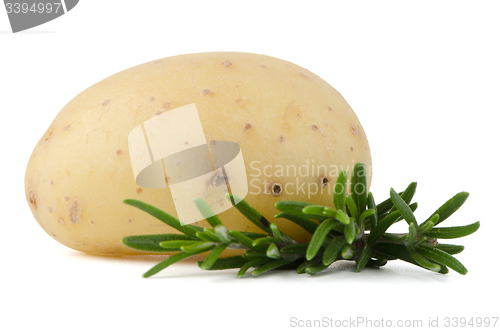 Image of New potato