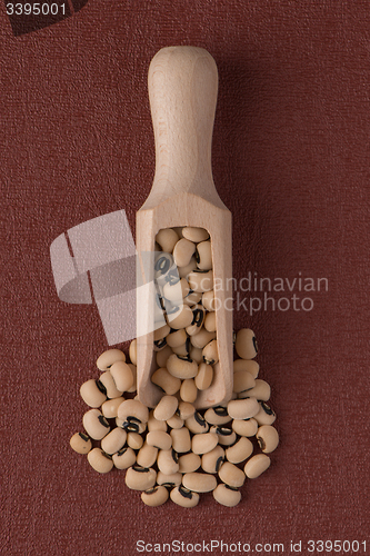 Image of Wooden scoop with white beans