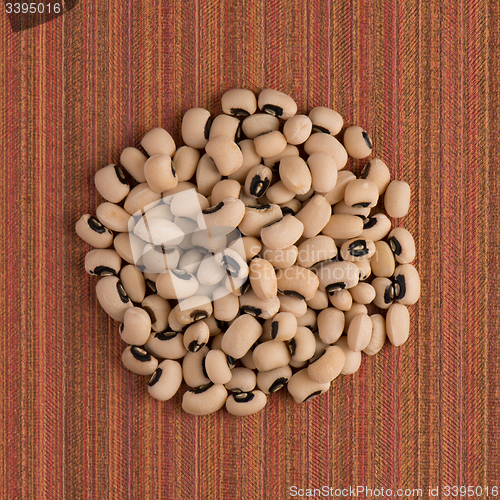 Image of Circle of white beans