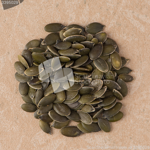 Image of Circle of pumpkin seeds