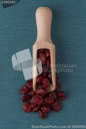 Image of Wooden scoop with dried cranberries