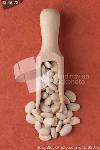 Image of Wooden scoop with white beans