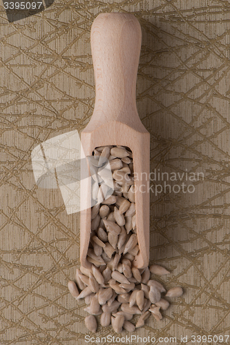 Image of Wooden scoop with shelled sunflower seeds