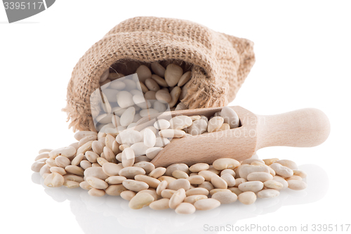 Image of White beans bag