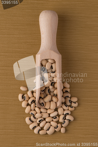 Image of Wooden scoop with white beans