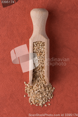 Image of Wooden scoop with sesame seeds