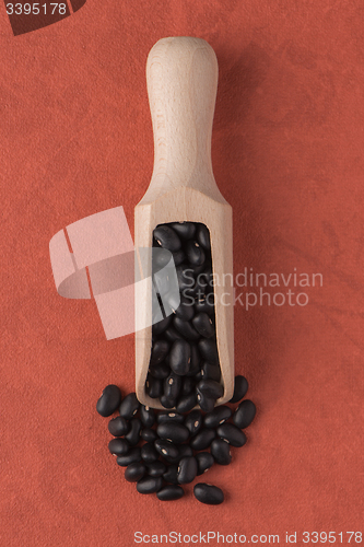 Image of Wooden scoop with black beans