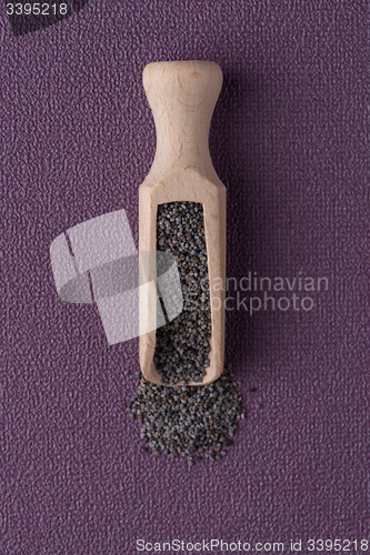 Image of Circle of poppy seeds