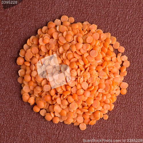 Image of Circle of peeled lentils