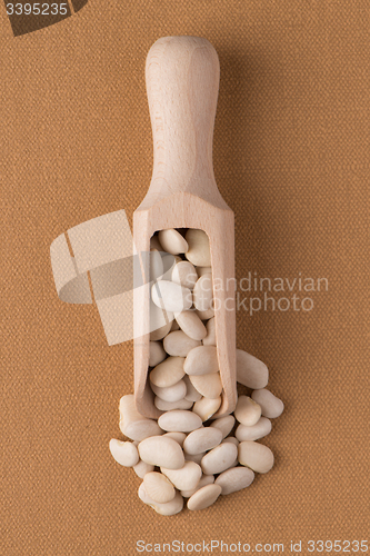 Image of Wooden scoop with white beans