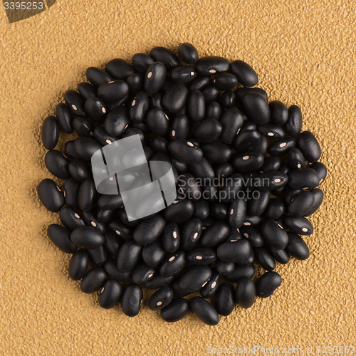 Image of Circle of black beans