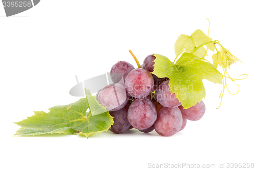 Image of Bunch of red grapes