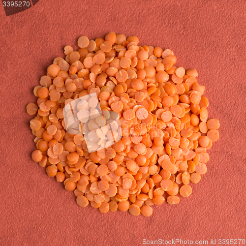 Image of Circle of shelled sunflower seeds