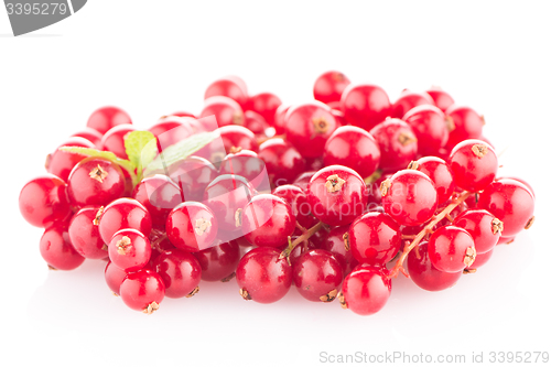 Image of Red Currants