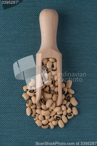Image of Wooden scoop with white beans