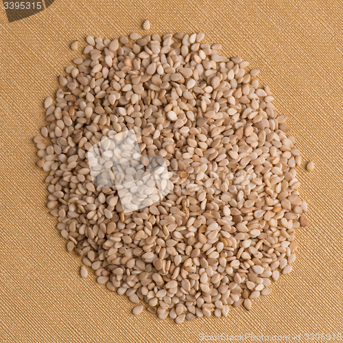Image of Circle of sesame seeds