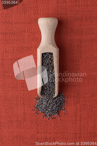 Image of Wooden scoop with poppy seeds