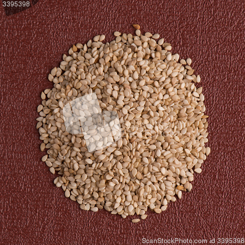 Image of Circle of sesame seeds