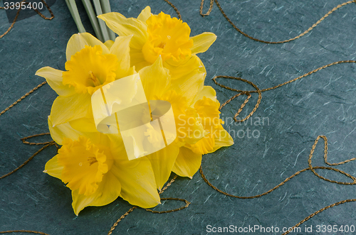 Image of Jonquil flowers