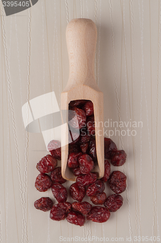 Image of Wooden scoop with dried cranberries