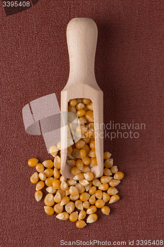 Image of Wooden scoop with corn