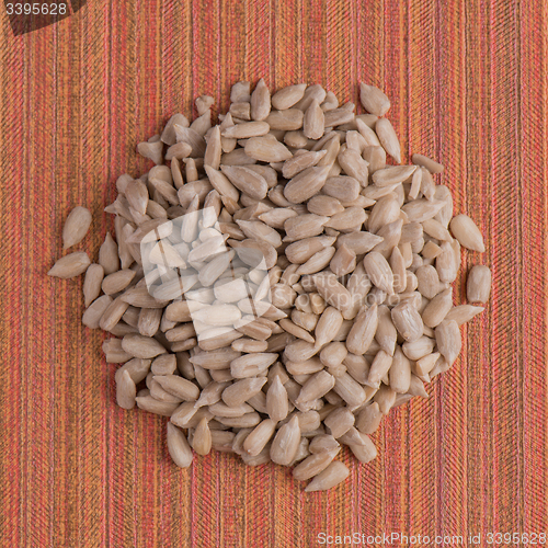 Image of Circle of shelled sunflower seeds