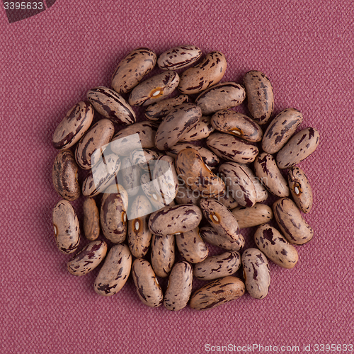 Image of Circle of pinto beans