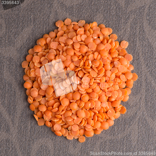 Image of Circle of peeled lentils