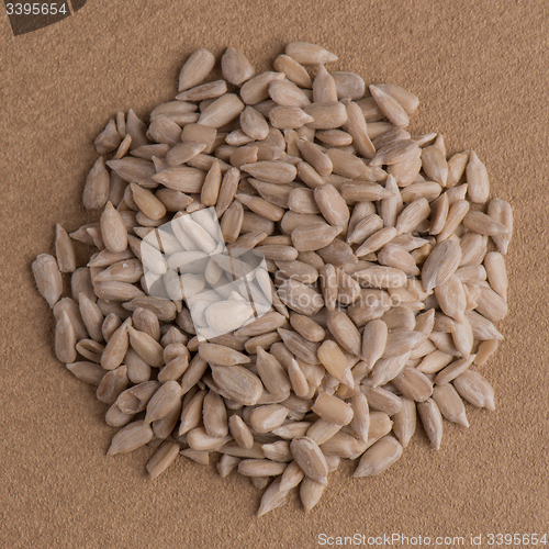 Image of Circle of shelled sunflower seeds
