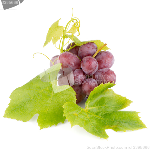 Image of Bunch of red grapes