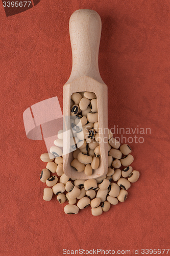 Image of Wooden scoop with white beans