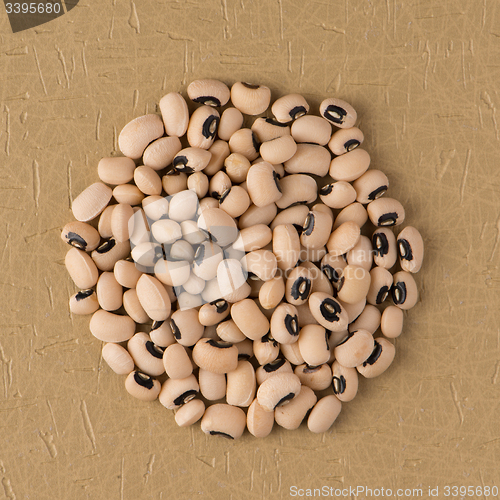 Image of Circle of white beans