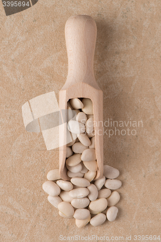 Image of Wooden scoop with white beans