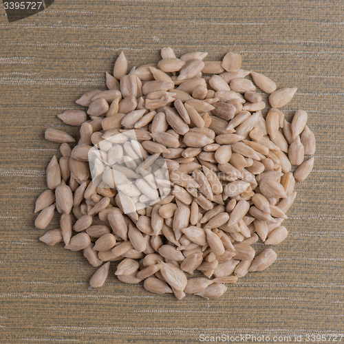 Image of Circle of shelled sunflower seeds