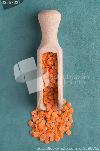 Image of Wooden scoop with  peeled lentils