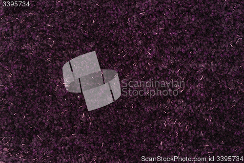 Image of Purple carpet