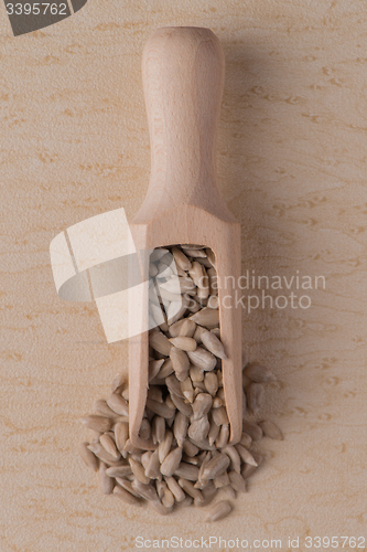 Image of Wooden scoop with shelled sunflower seeds