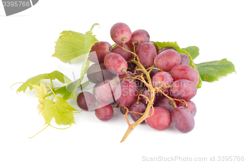 Image of Bunch of red grapes