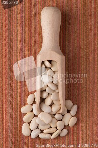 Image of Wooden scoop with white beans