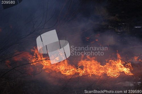 Image of fire