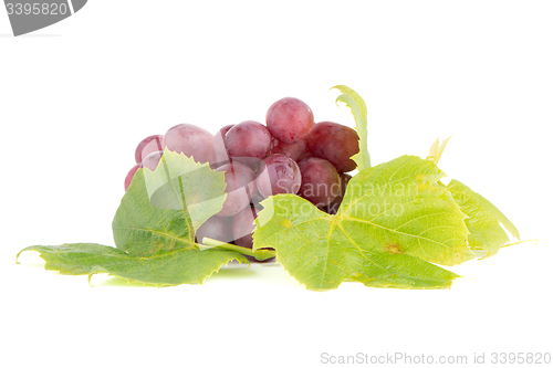 Image of Bunch of red grapes