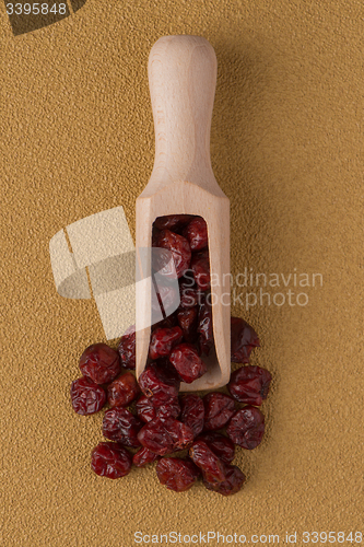Image of Wooden scoop with dried cranberries