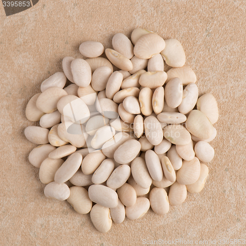 Image of Circle of white beans
