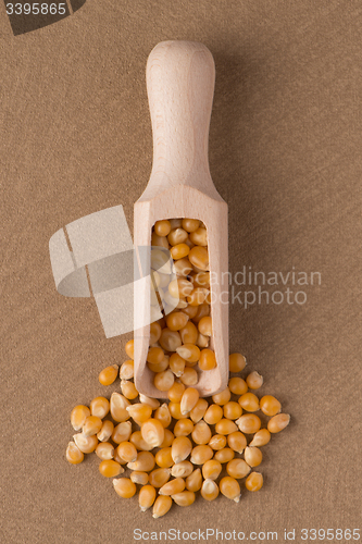 Image of Wooden scoop with corn