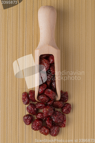 Image of Wooden scoop with dried cranberries