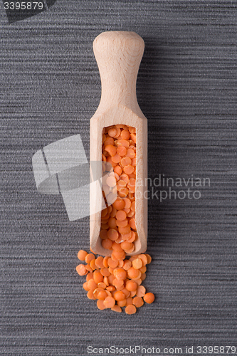 Image of Wooden scoop with  peeled lentils