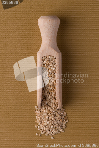 Image of Circle of sesame seeds