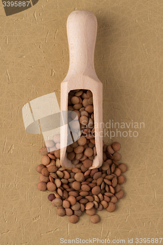 Image of Wooden scoop with lentils